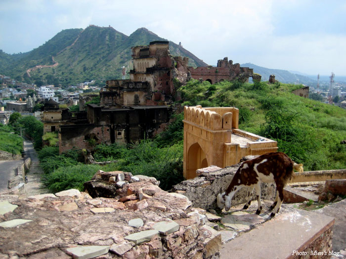 amber-fort-1