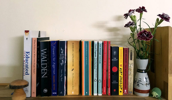 Tu-sach-Quy-Mam-Xanh-1